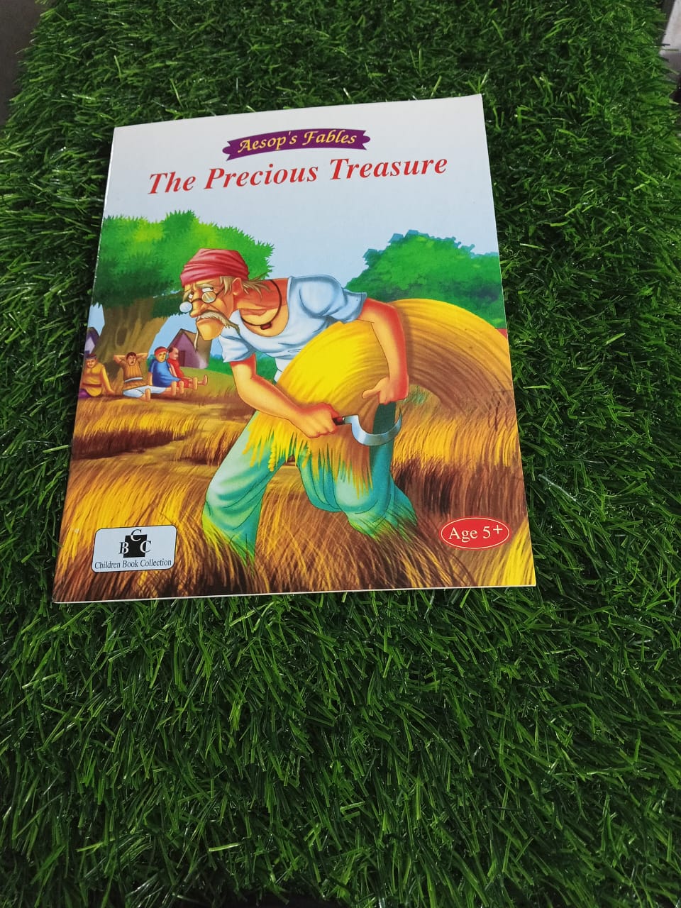 The Precious Treasure